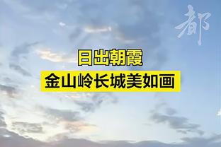 ⭐️雷霆双子星12月防守数据：霍姆格伦场均4.7帽 SGA场均3.9断